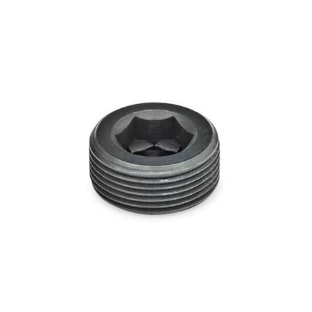 Otto Ganter Blanking Plug, GN 252